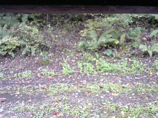 長野県菅平高原 ゆたか山荘 南側 2025/10/11 14:00