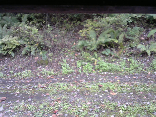 長野県菅平高原 ゆたか山荘 南側 2025/10/11 14:15