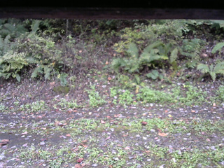 長野県菅平高原 ゆたか山荘 南側 2025/10/11 14:30