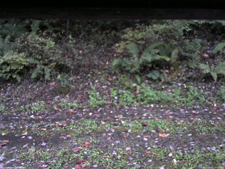 長野県菅平高原 ゆたか山荘 南側 2025/10/11 17:15