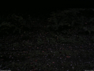 長野県菅平高原 ゆたか山荘 南側 2025/10/11 17:30