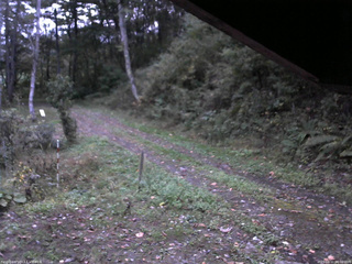 長野県菅平高原 ゆたか山荘 東側(坂下) 2025/10/11 06:00