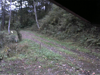 長野県菅平高原 ゆたか山荘 東側(坂下) 2025/10/11 06:15