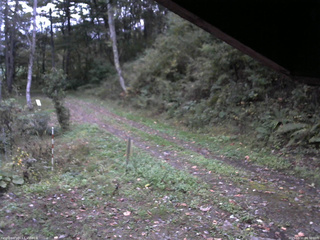 長野県菅平高原 ゆたか山荘 東側(坂下) 2025/10/11 06:30
