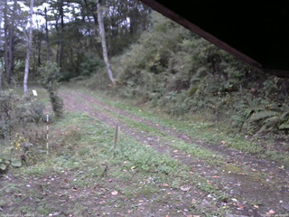 長野県菅平高原 ゆたか山荘 東側(坂下) 2025/10/11 06:45
