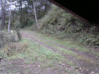 長野県菅平高原 ゆたか山荘 東側(坂下) 2025/10/11 07:15