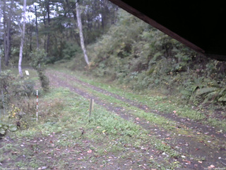 長野県菅平高原 ゆたか山荘 東側(坂下) 2025/10/11 08:00