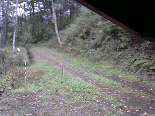 長野県菅平高原 ゆたか山荘 東側(坂下) 2025/10/11 08:15