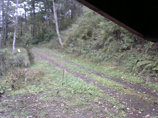 長野県菅平高原 ゆたか山荘 東側(坂下) 2025/10/11 10:00