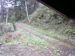 長野県菅平高原 ゆたか山荘 東側(坂下) 2025/10/11 10:15
