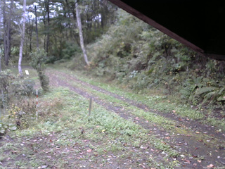 長野県菅平高原 ゆたか山荘 東側(坂下) 2025/10/11 11:00