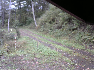 長野県菅平高原 ゆたか山荘 東側(坂下) 2025/10/11 12:15