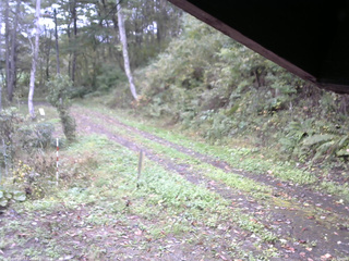 長野県菅平高原 ゆたか山荘 東側(坂下) 2025/10/11 13:00