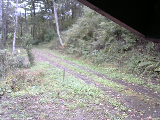 長野県菅平高原 ゆたか山荘 東側(坂下) 2025/10/11 13:15