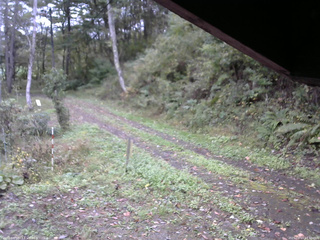 長野県菅平高原 ゆたか山荘 東側(坂下) 2025/10/11 13:30