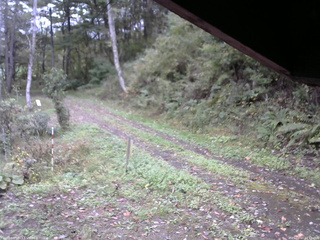 長野県菅平高原 ゆたか山荘 東側(坂下) 2025/10/11 14:15