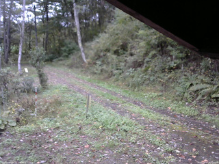 長野県菅平高原 ゆたか山荘 東側(坂下) 2025/10/11 15:15