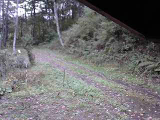 長野県菅平高原 ゆたか山荘 東側(坂下) 2025/10/11 16:00