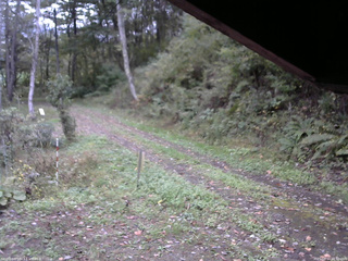 長野県菅平高原 ゆたか山荘 東側(坂下) 2025/10/11 16:30