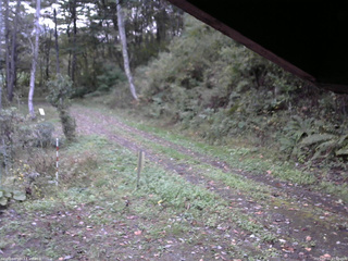 長野県菅平高原 ゆたか山荘 東側(坂下) 2025/10/11 17:00