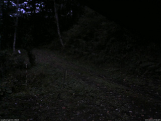 長野県菅平高原 ゆたか山荘 東側(坂下) 2025/10/11 17:30