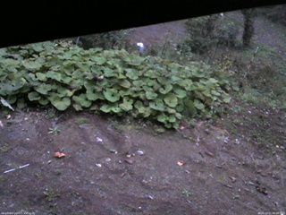 長野県菅平高原 ゆたか山荘 駐車場 2025/10/11 06:00