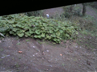 長野県菅平高原 ゆたか山荘 駐車場 2025/10/11 06:30