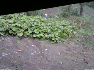 長野県菅平高原 ゆたか山荘 駐車場 2025/10/11 08:15