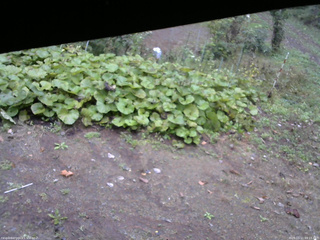 長野県菅平高原 ゆたか山荘 駐車場 2025/10/11 09:15