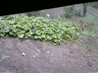長野県菅平高原 ゆたか山荘 駐車場 2025/10/11 11:30