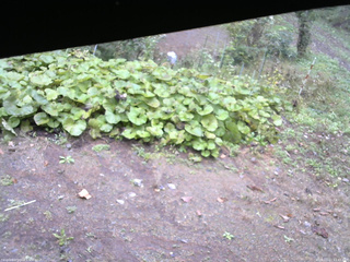 長野県菅平高原 ゆたか山荘 駐車場 2025/10/11 11:45