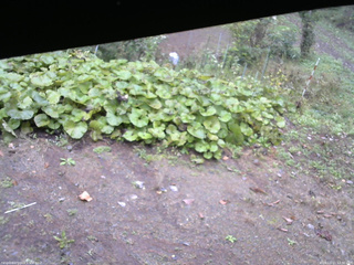 長野県菅平高原 ゆたか山荘 駐車場 2025/10/11 12:30