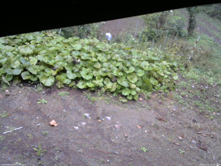 長野県菅平高原 ゆたか山荘 駐車場 2025/10/11 12:45