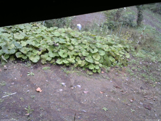 長野県菅平高原 ゆたか山荘 駐車場 2025/10/11 13:45