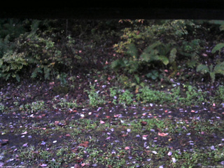 長野県菅平高原 ゆたか山荘 南側 2025/10/12 05:45