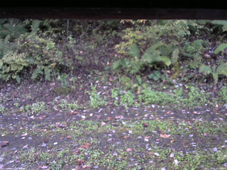 長野県菅平高原 ゆたか山荘 南側 2025/10/12 06:00