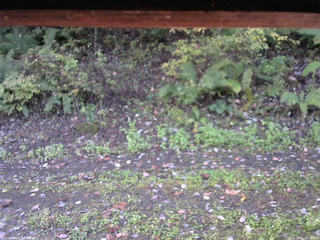 長野県菅平高原 ゆたか山荘 南側 2025/10/12 06:15