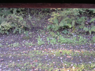 長野県菅平高原 ゆたか山荘 南側 2025/10/12 06:30