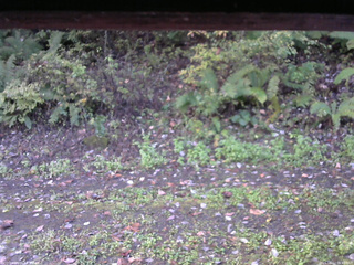 長野県菅平高原 ゆたか山荘 南側 2025/10/12 06:45