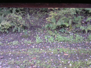 長野県菅平高原 ゆたか山荘 南側 2025/10/12 07:00