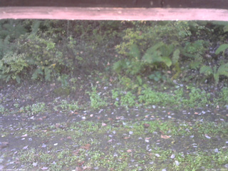 長野県菅平高原 ゆたか山荘 南側 2025/10/12 07:30