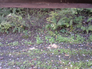 長野県菅平高原 ゆたか山荘 南側 2025/10/12 09:00