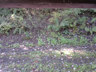 長野県菅平高原 ゆたか山荘 南側 2025/10/12 10:00