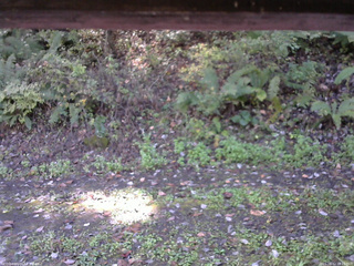 長野県菅平高原 ゆたか山荘 南側 2025/10/12 10:15