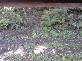 長野県菅平高原 ゆたか山荘 南側 2025/10/12 10:45