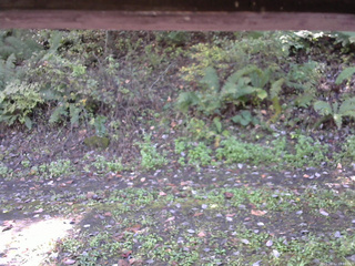 長野県菅平高原 ゆたか山荘 南側 2025/10/12 11:00