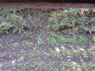 長野県菅平高原 ゆたか山荘 南側 2025/10/12 11:15