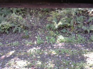 長野県菅平高原 ゆたか山荘 南側 2025/10/12 11:45