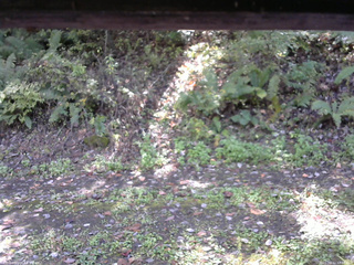 長野県菅平高原 ゆたか山荘 南側 2025/10/12 12:00