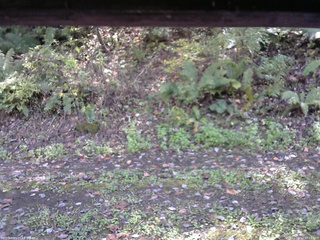 長野県菅平高原 ゆたか山荘 南側 2025/10/12 12:15